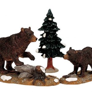 Papa Bear Cub